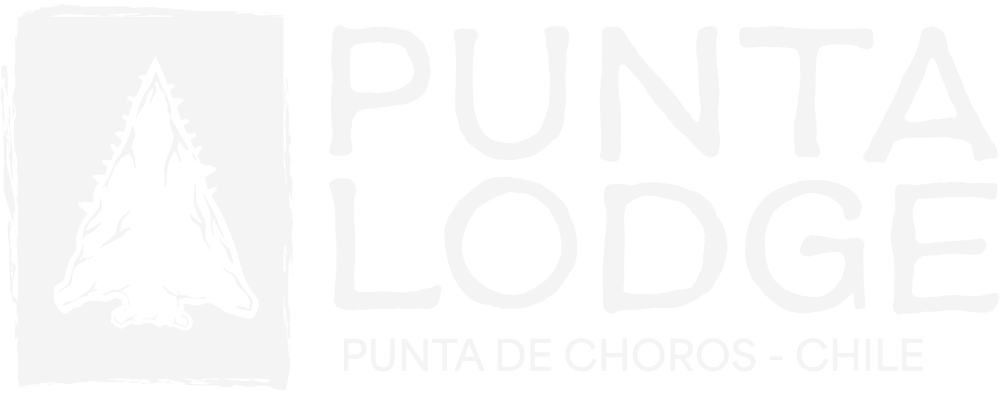 Logo Punta Lodge - Camping en Punta de Choros